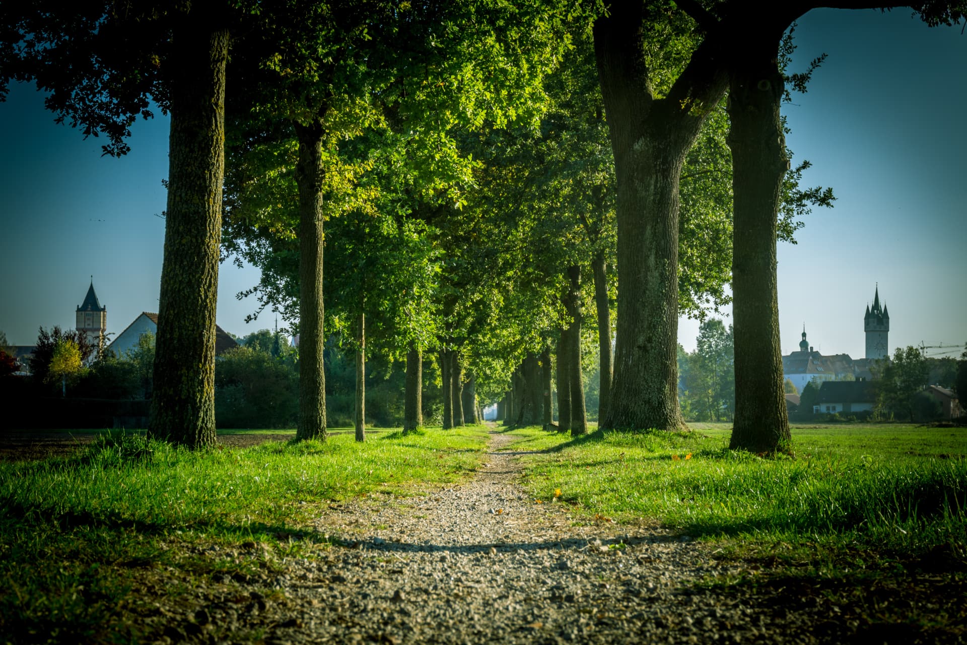 Allee mit Blick auf die Türme der Straubinger Altstadt